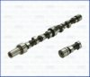 SKODA 047109101R Camshaft